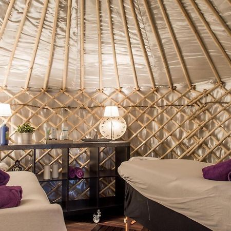 Bed and Breakfast Yurtlife à Zaandam Extérieur photo