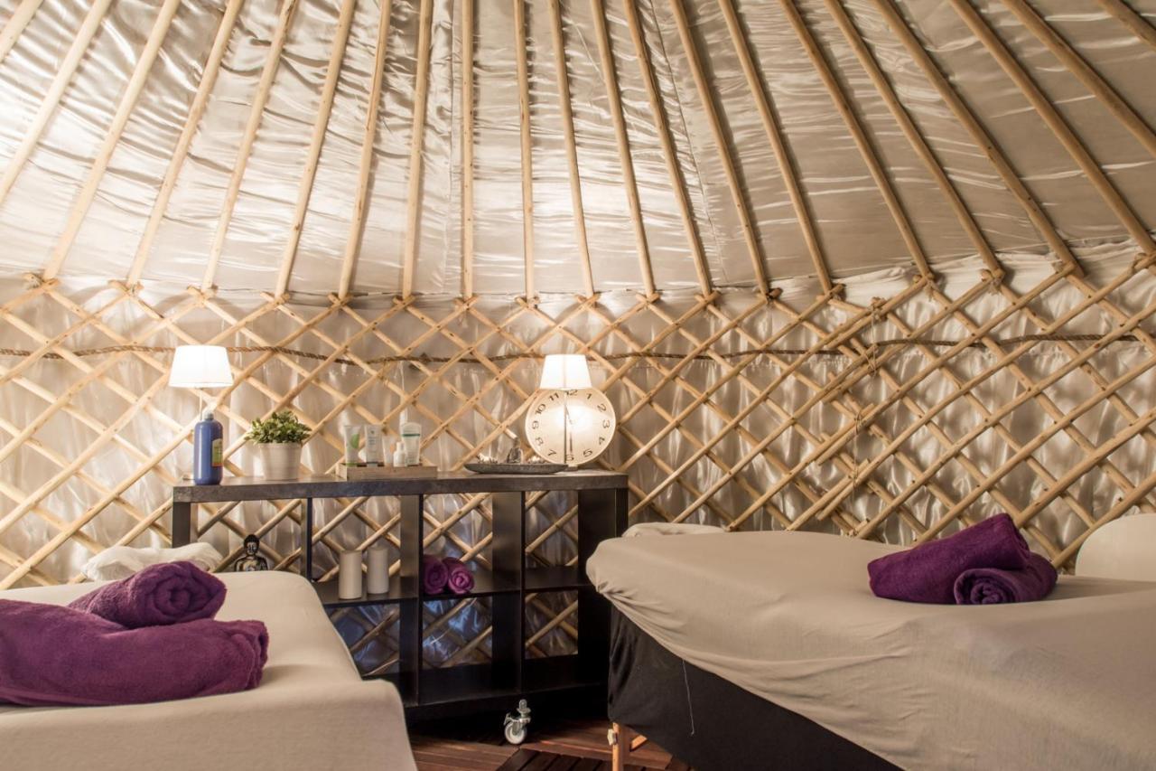 Bed and Breakfast Yurtlife à Zaandam Extérieur photo